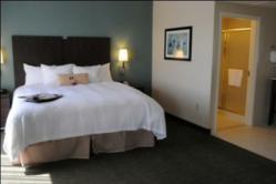 Dartmouth Hotel Guestroom